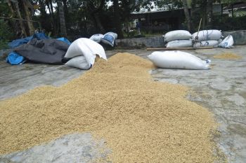 Stok sembako di Lombok Tengah aman menjelang Ramadhan