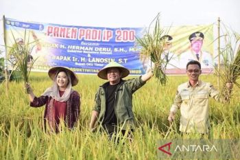 Sumsel harap kuota serapan cadangan beras pemerintah ditingkatkan