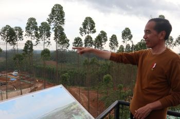 Menghitung hari menuju HUT ke-79 RI di IKN Nusantara (1)