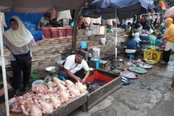 Pengamat imbau Satgas Pangan Sumsel antisipasi kenaikan harga sembako