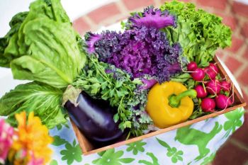 Dampak negatif yang mungkin terjadi jika anak kurang makan sayur