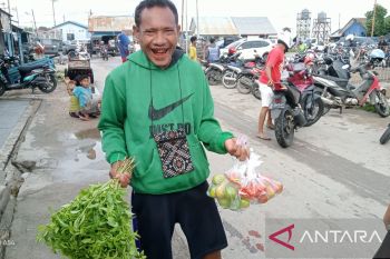 Harga cabai di Kota Kupang tembus Rp150 ribu/kg