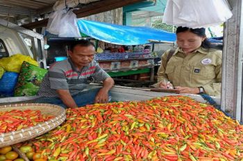 TPID-Satgas Pangan aktifkan pengawasan pasar di Palangka Raya