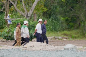 Presiden yakin kawasan KIPI Kaltara jadi masa depan industri energi hijau Indonesia