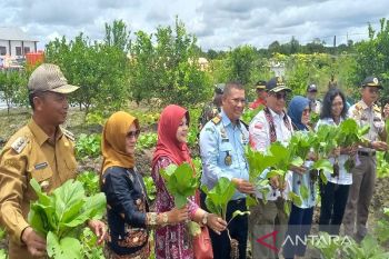 Wamentan RI apresiasi Lapas Sukamara dukung ketahanan pangan