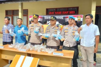 Polres gagalkan penyelundupan ribuan benur lobster
