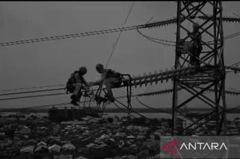 PLN mitigasi ancaman gangguan pada jaringan Kalselteng di Tapin