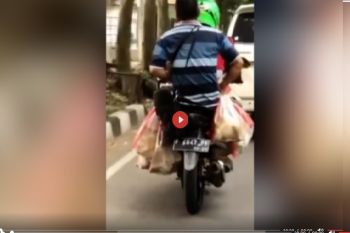 Viral Kucing Dijadikan Bakso, Ini Faktanya