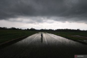 Hujan lebat dan angin kencang berpotensi terjadi di banyak provinsi