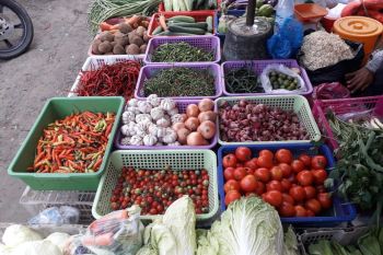 Wawako Palembang minta Bulog cukupi stok daging kerbau