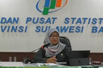 BPS : Luas panen padi Sulbar naik 16 persen pada 2022