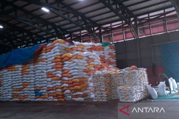Stok beras di Natuna dipastikan cukup hingga Idul Fitri
