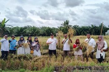 Pemkab Pasaman Barat pastikan stok beras aman