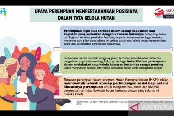 Kemen PPPA dorong partisipasi setara tata kelola hutan