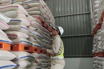 Bulog Lampung pada 2023 target serap 82 ribu ton gabah dan beras petani