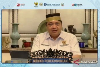 Menko Perekonomian danai ketahanan pangan Rp104,2 triliun