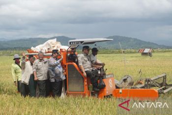 Irjen Kementan pantau panen raya di Maros guna memastikan stok pangan aman