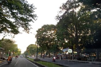 Pemkot Mataram segera menata median sepanjang Jalan Udayana
