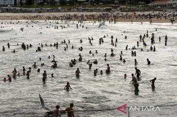 Aksi penembakan di pantai Sydney, meninggal jadi 16 orang