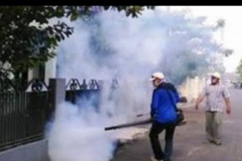 Warga minta Pemkot Palembang lakukan pengasapan berantas untuk DBD