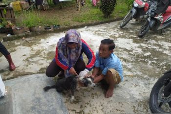 OKU optimalkan penanganan rabies di puskesmas