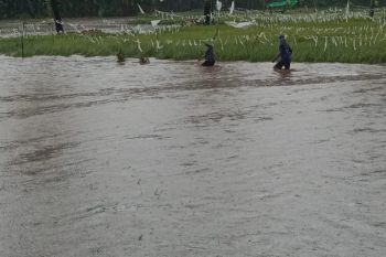 BPBD : Empat desa di Kabupaten Bima diterjang banjir