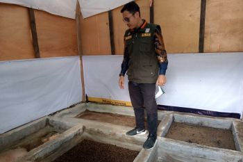 DLH targetkan 50 kelurahan olah sampah lewat budi daya maggot