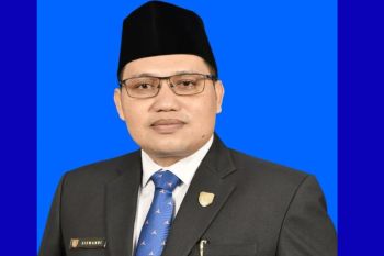 Legislator Kalteng minta listrik PLN segera dialirkan ke Sumber Barito