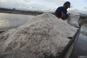 Kenaikan Harga Garam
