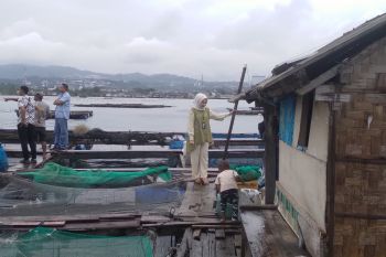 Bandarlampung dorong pembudidaya kakap putih dapatkan akses modal