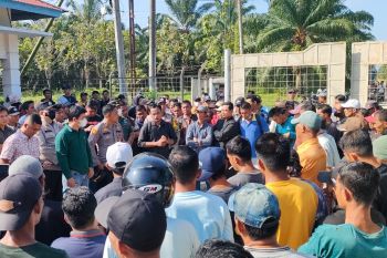Gaji tak dibayar, puluhan karyawan PT MAS Bengkalis mogok kerja