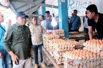 Harga kebutuhan pokok di Baubau berfluktuatif