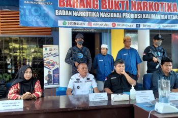 BNNP Kaltara memusnahkan 182,92 gram ganja tak bertuan