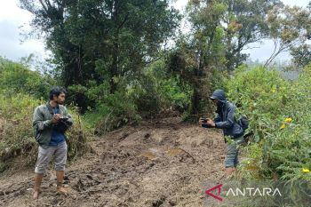 Perhutani tutup sementara kawasan Rancaupas - Jabar