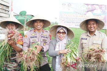 Pemkab Gowa optimistis mampu wujudkan swasembada bawang merah
