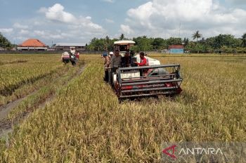 Pemda DIY mendukung penerapan biosaka pertanian untuk kemandirian pangan