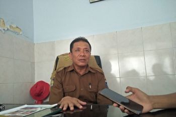 Pemkab Lombok Tengah menggalakkan tanam cabai