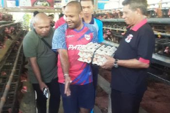 Pemuda Papua menekuni bisnis berternak ayam petelur di Biak Numfor