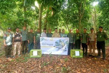 BKSDA Sulawesi Tenggara lepaskan satwa langka asal Wakatobi