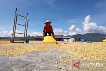 TPH Sulteng bantu penanganan stunting lewat pangan bergizi