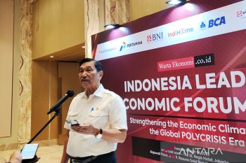 Luhut gandeng Singapura kembangkan industri panel surya