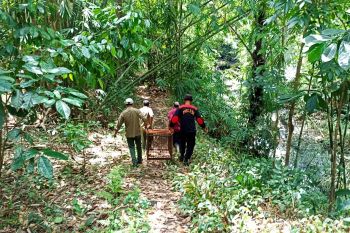 Monyet liar di Lombok Timur gigit warga, petugas pasang jebakan
