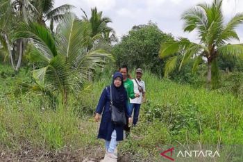 Pendekatan value for money terhadap pembangunan di Provinsi Riau