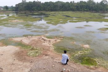 Warga Kepri diminta antisipasi kebakaran hutan dan lahan