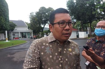 Pemerintah naikkan Harga Pembelian Pemerintah gabah kering panen menjadi Rp5.000 per kg