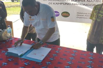 Pemkab Jayapura kerja sama BUMMA Namlong kelola lahan pertanian