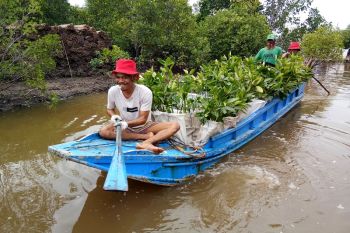 Dukung rehabilitasi DAS dan pariwisata, PTBA perluas pusat persemaian