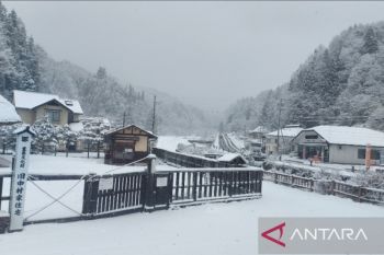 The 'white horse' village of Hakuba, Japan