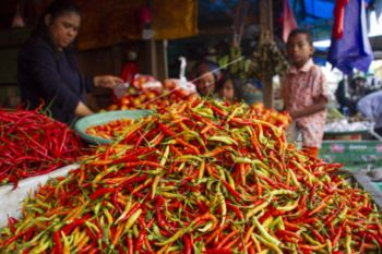 Harga cabai naik jelang Ramadhan di Makassar
