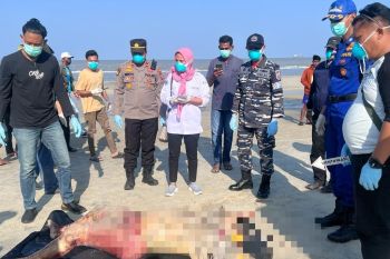 Warga Rupat temukan mayat di Pantai Ketapang